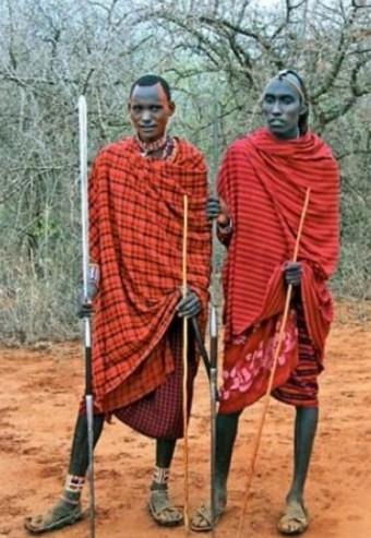 Kenya'da bir ailenin gelirinin te biri rvete gidiyor.