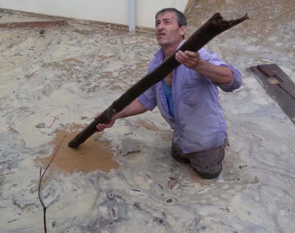 Mersin'in Anamur lesi'nde etkili olan sanak ya, taknlara neden oldu. KKTC'ye su gnderilen Alakpr Baraj altnda kalan Ormanck Mahallesi'nin 6 ay nce oturuma alan yeni yerleim yerinde de baz evlere su bast.