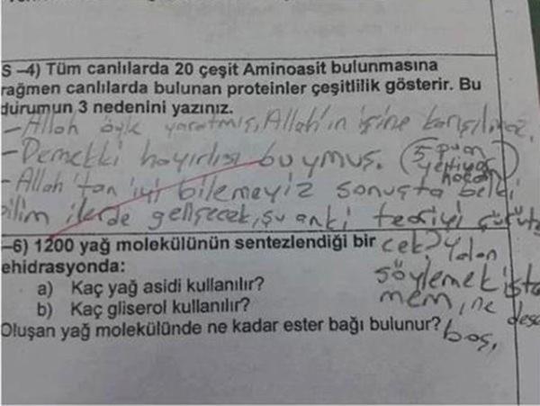 rencilerin korkulu ryas snav gn gelip attnda birbirinden ilgin soru ve yantlarla karlamak da mmkn. te internette ska rastladmz, gerek olup olmadn bilmediimiz yaratc ayn zamanda komik olan snav cevaplar...