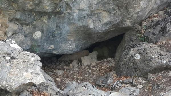 Bingl Valilii tarafndan yaplan aklamaya gre, Bingl&#8217;n Gen ilesine bal Servi Ky&#8217;nde operasyon dzenleyen gvenlik gleri, PKK&#8217;ya ait 5 snak buldu.