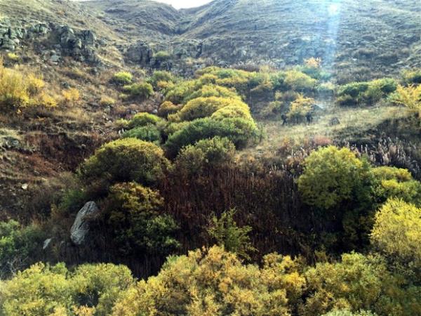 Bu operasyon neticesinde Hasanova ky mevkiinde BT (Blc Terr rgt) mensuplarna ait biri drt odal olmak zere 2 adet snak bulunmutur.