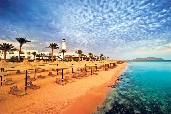 arm El-eyh<br>    Msr