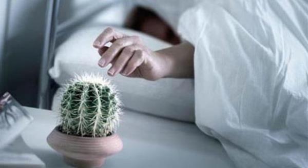 '5 dakika daha' uyumak.