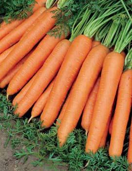 Havu sevmiyorsanz, yer elmas, yer fst, tatl bal kaba veya mango yiyebilirsiniz.