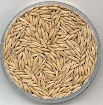 Yulaf: zlebilir lifle dolu olan yulaf, kalp hastal riskinizi azaltr.