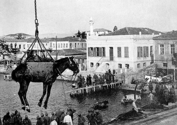 16. Bir atn nakledilmesi<br>  Avusturya-Macaristan ordusuna ait ekipmanlar anakkale'de indiriliyor.