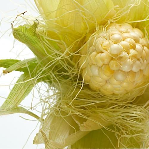 Diyabet yani eker hastalnz m var? Bu ifal ve her yerde bulunabilen bitki sayesinde ifa bulabilirsiniz.