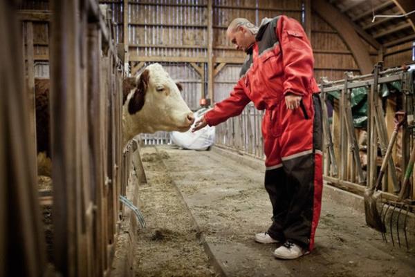 altklar iin veya sattklar rn bana mahkmlara para deniyor. nsan kendini &#8220;ie yaram&#8221; hissediyor. Bir adaya atlm gibi deiller. Amasz olmamak ok iyi bir duygu.