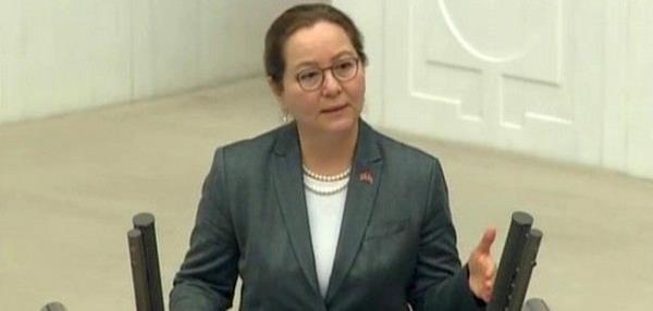 MHP Eskiehir Milletvekili Dr. Ruhsar Demirel Meclis'e giremedi.