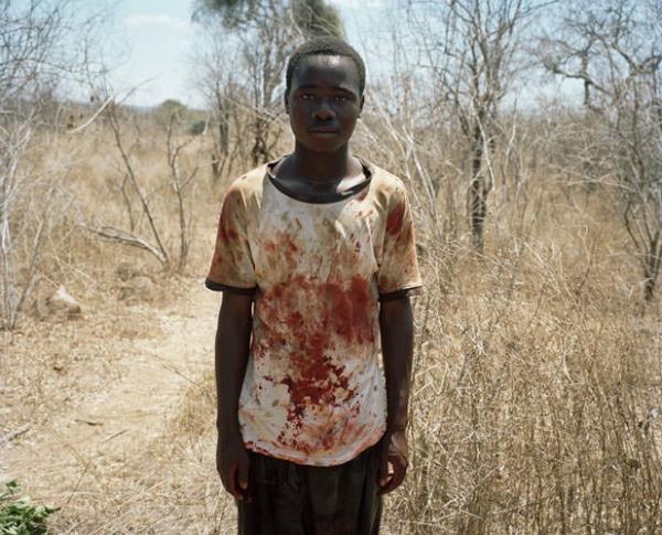 Bir gnn sonunda filin ld yerde, kan izinden baka hibir ey kalmamt.