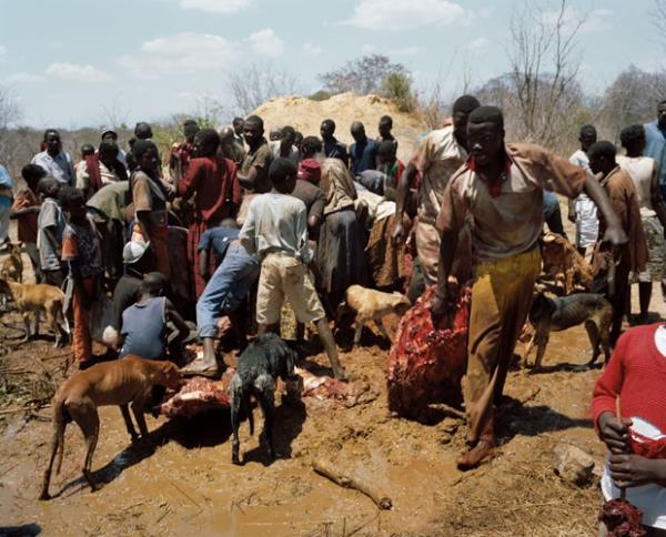 Yoksullukla mcadele eden kiilerin fili paralamasn, fotoraf David Chancellor grntlendi.