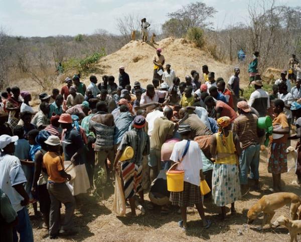 6 tonluk fil tam 1 saat 47 dakikada tkendi.