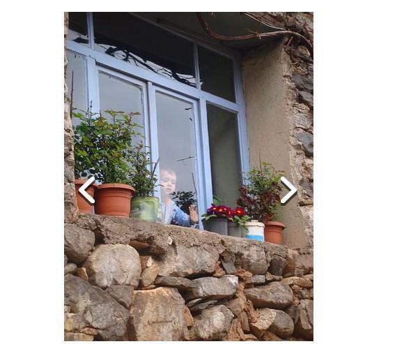 Cam nne yerletirilmi renk renk iekler.