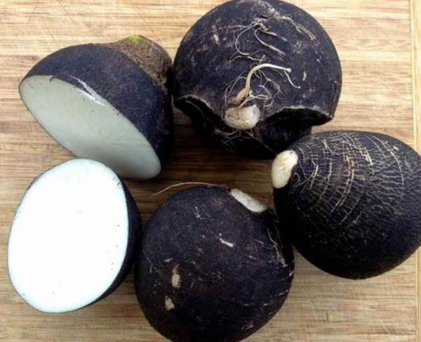 Akcierleri kuvvetlendirir, karacier hcrelerini uyarr, safra kesesinin boalmasn salar.