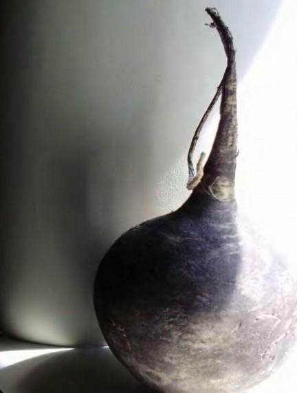 Romatizma ve damar sertliine iyi gelir, kan zehirlerden temizler.