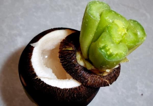 Alerji ve egzama hastalklarna iyi gelir, sknty giderir uyku verir.