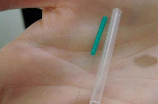 Japon bilim insanlar sinekleri kullanarak sanal olarak acsz ineyi yaratt.