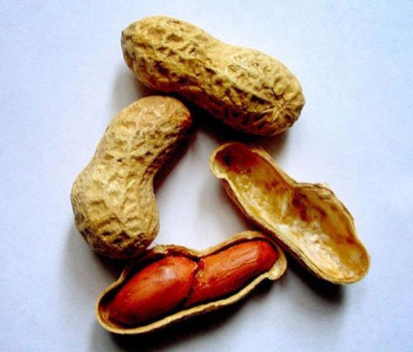 2007 ylnda bir bilim insan fstklarn iinden alerjik maddeleri kartmak iin bir method gelitirdi.