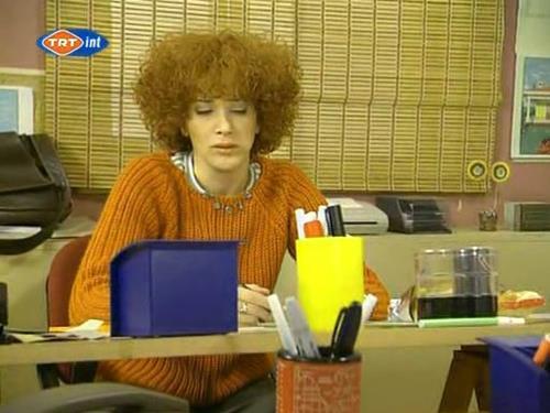 90'larn sevilen dizileride rol alan baarl oyuncu Janset filmlerde hemire roln canlandracak...