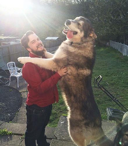 Baz hayvan trleri doal olarak byktr, ancak kendi trnn normalini aan ve dev saylan baka hayvanlar da mevcut. te onlardan bazlar...