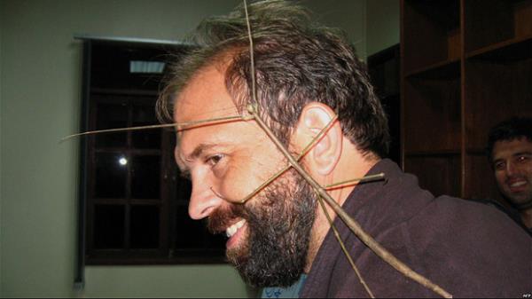 Neredeyse bir insan kolu uzunluundaki sadece gvdesi 35,7 cm gelen bcein bacaklar dal andryor.