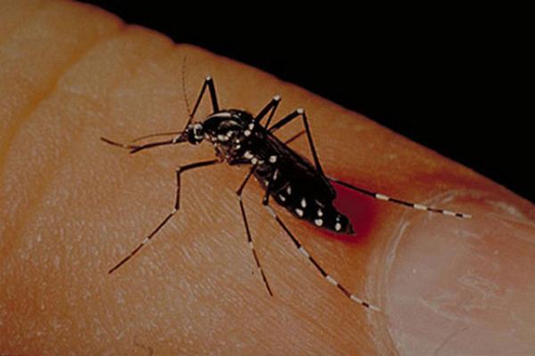 Bu yzden, eer kouyorsanz ya da egzersiz yapyorsanz, daha hzl nefes aldnz ve terlediiniz iin srlma riskiniz daha yksek.