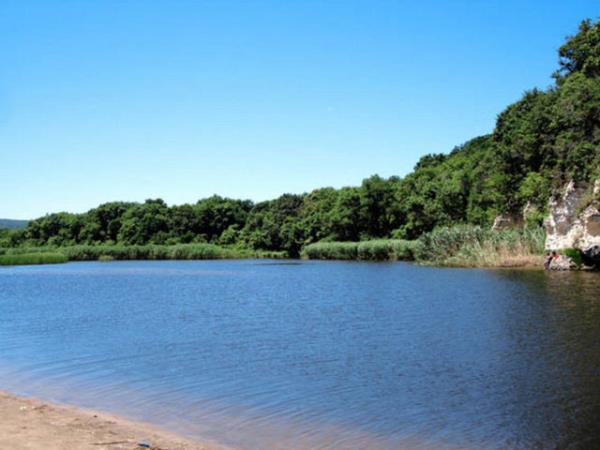 En zengin mesire: ilingz