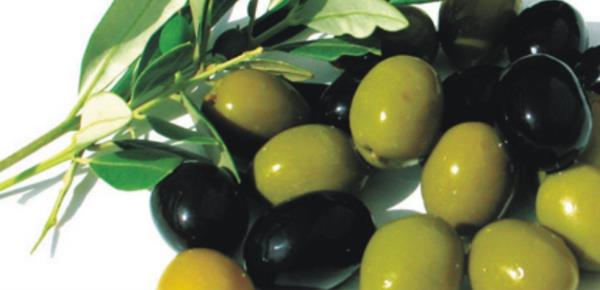 Zeytinin sala faydalarn gz nnde bulundurarak en nemli olan 20 faydas...<br>    Zeytinin Kalp Salna Faydas: Kalp saln koruduu yaplan aratrmalar ile belirlenen zeytin ayn zamanda kt kolesterol drr. Kalp sal ve damar salnn korunmasnda etkili olup kalpte ki ritim bozukluklarnn dzene girmesine yardmc olur.