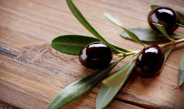Zeytin ekirdei krk ve kklarda ar kesici rol oynayabilir, ikinlik ve gaz sorunlarn giderebilir.