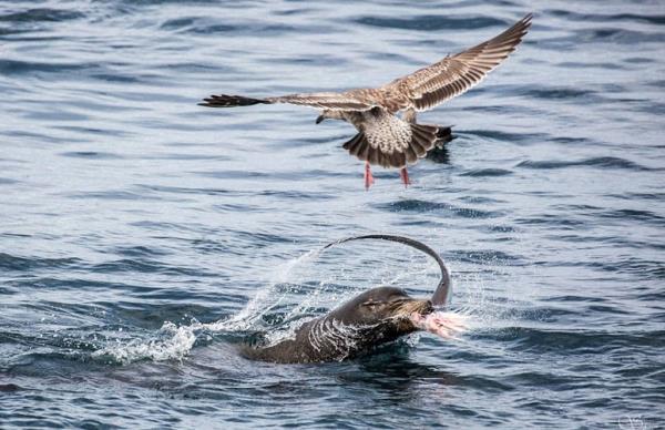 Ve ite kameralara yansyan o anlar..