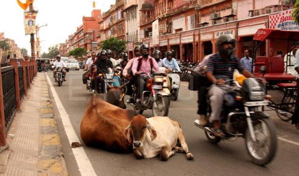 <p>11- HNDSTAN </p>  <p>2015/ 3. EYREK: 557,747 </p>  <p>2014/ 3. EYREK: 557,743  </p>