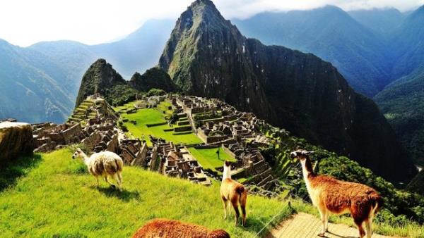 <p>46- BOLVYA </p>  <p>2015/ 3. EYREK: 42,512 </p>  <p>2014/ 3. EYREK: 42,518</p>