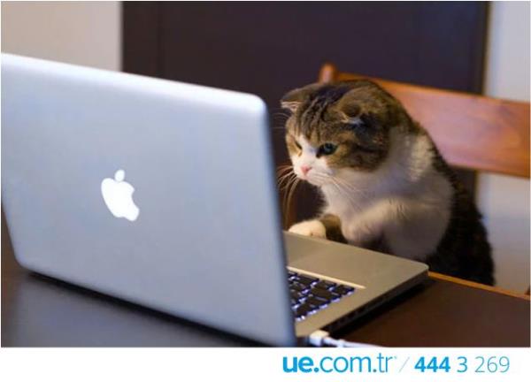 Rahat Bir Ortam nemli; Ders almak iin rahat bir ortam yaratmak, odaklanman kolaylatrmasnn yan sra daha verimli almanza da yardmc olacaktr.