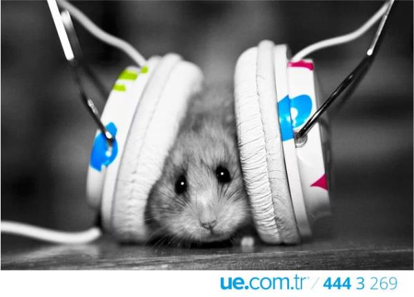 Kulaklklarnz hazr olsun, balyoruz; Sk sk tekrar etmenin nemini ise sylememize gerek yok sanrm...