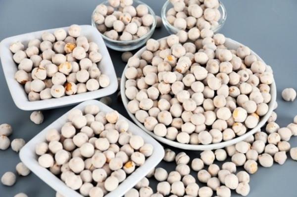 Beyaz leblebi: Bedeni str.