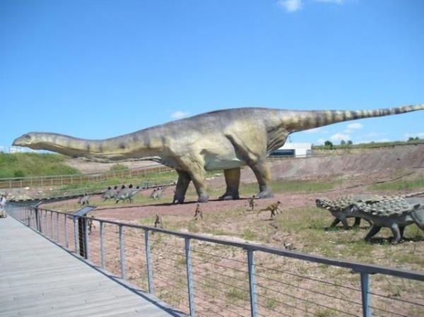 Dnyann yaam en uzun canls olduu tahmin edilen Amphicoelias dinozorunun 55, 60 metre boyundan daha uzun olmas mmkn olmayacaktr, nk hibir iskelet sistemi oluacak tonlarca arl Dnyann yer ekimine kar kaldramayacaktr.