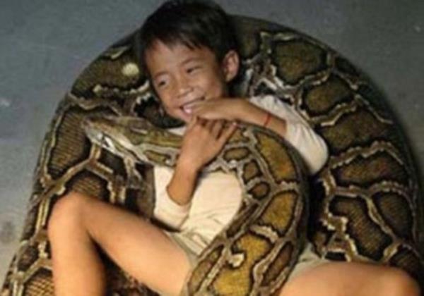 Son 4000 sene ierisinde herhangi yeni hayvan evcilletirilmemitir.