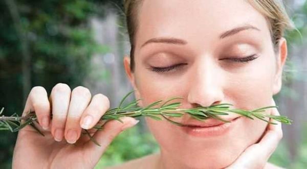 Ayn ekilde sesler yerine kokular da benzer etkiyi gsteriyor.