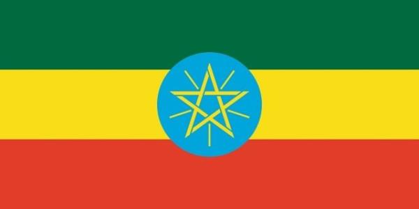 INSA - Etiyopya Gizli Servisi