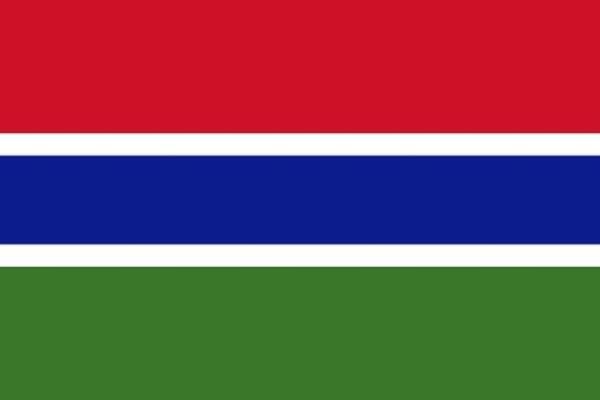 NIA - Gambiya Gizli Servisi