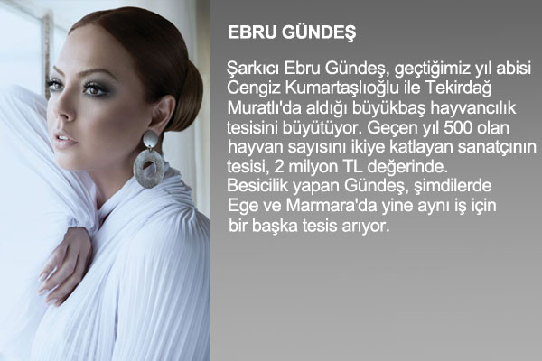 te nllerin mal varlklar !