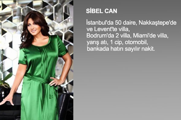 te nllerin mal varlklar !