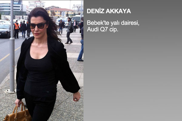 te nllerin mal varlklar !