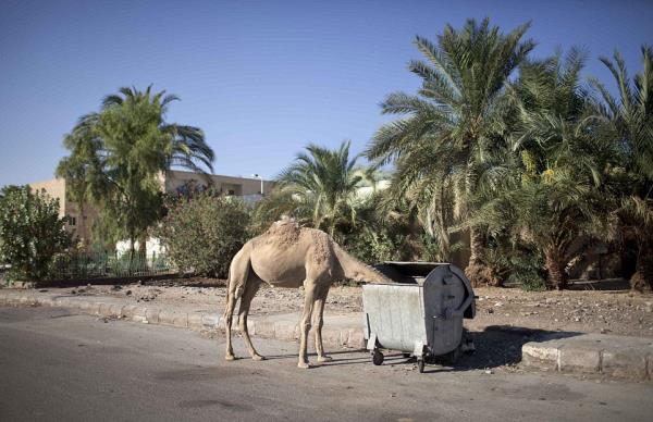 2011 ylnda ortaya kan Arap bahar akmna kadar lkeyi yaklak 15 milyon turist ziyaret ediyordu. 2014 verilerine gre Msr 9 milyon turist kaybetmi durumda.