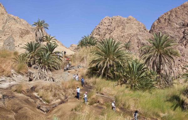 Rakamlara gre lkeye gelen turist says yzde 52 orannda azalmt.