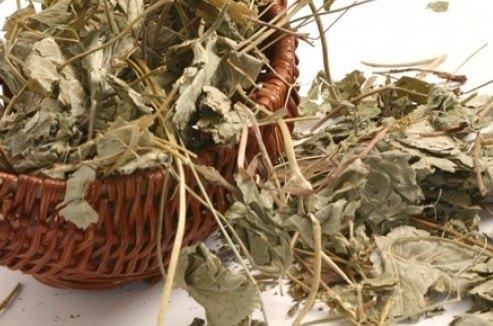 Az kokusu devaml bir hl almsa her gn dzenli olarak ekinezya ay ile aznz alkalamak az kokusunu gidermektedir.