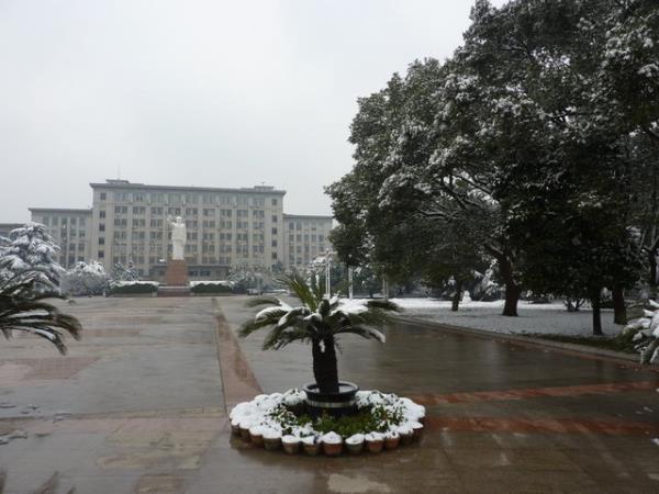 49- Huazhong University of Science and Technology<br>  in