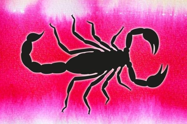 Genellikle siyaset hakknda syleyecek ok sz vardr. Gndemle olduka ilgilidirler. Siyasi bilgileri, zellikle de dnya gndemi ile ilgili bilgileri epeyce vardr ve bu konular hakknda konumaktan keyif alrlar.