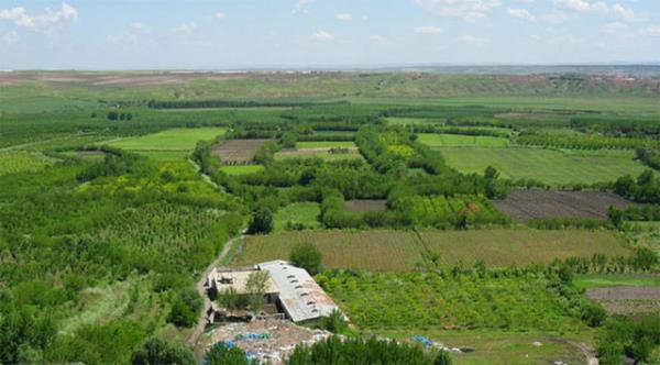 HEVSEL BAHELER (2015)