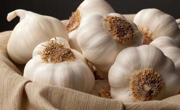 Sarmsak<br>Bileimindeki allizin maddesi kan dolamn harekete geirerek cildi arndryor. Bylelikle cilt salkl bir renge kavuuyor.